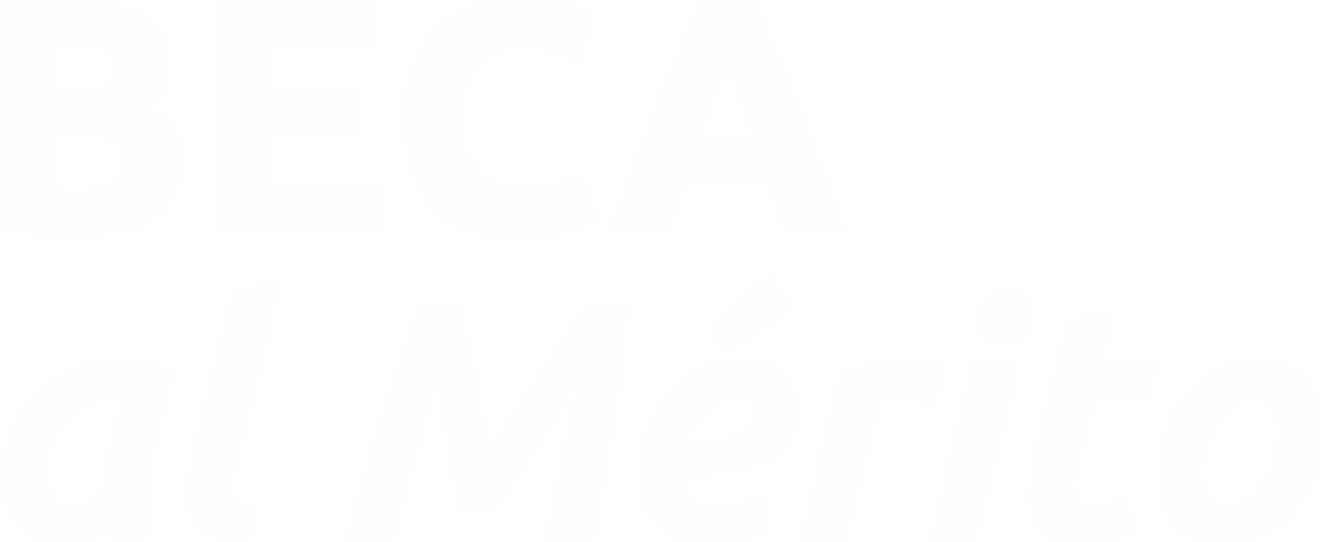 Beca al Mérito